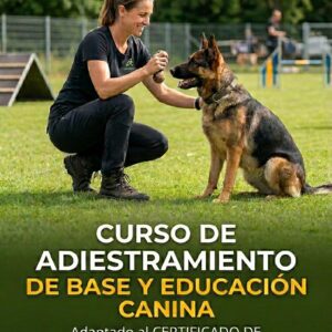 Adiestramiento Canino